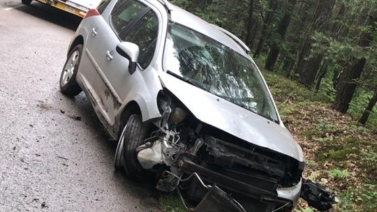 24-letni kierowca z powiatu bełchatowskiego uderzył autem w drzewo