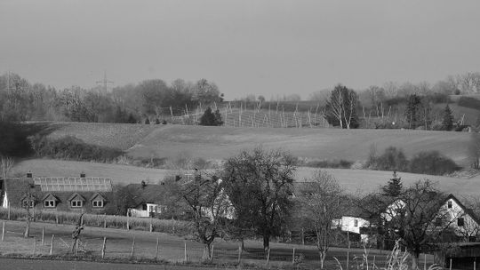 83-latek przygnieciony przez ciągnik