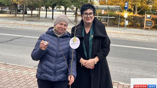 Bełchatów sadzi sto drzew na stulecie praw miejskich