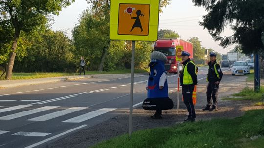 Bezpieczna droga do szkoły akcja Magistratu i Policji- (miasto Radomsko)