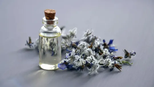 Czy francuskie perfumy lane to najlepszy wybór? Oto, co warto wiedzieć