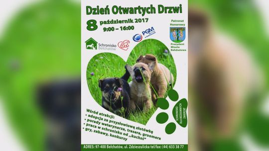 Dzień Otwartych Drzwi w schronisku dla zwierząt