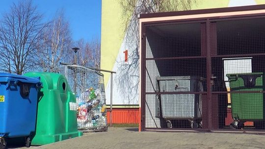 Jak segregować śmieci? Rozwiewamy wątpliwości.