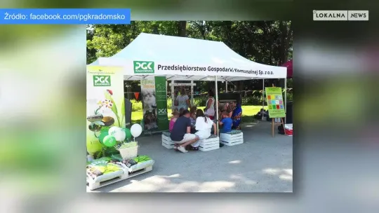 Już niedługo odbędzie się Rodzinny Piknik Ekologiczny w Radomsku