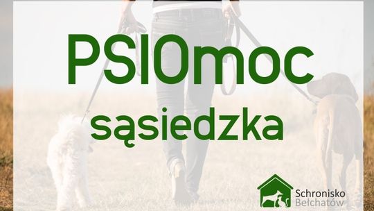 Kolejna ciekawa akcja Bełchatowskiego Schroniska