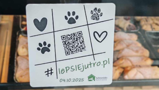 „#lePSIEjutro" – tajemnicza akcja schroniska w Bełchatowie