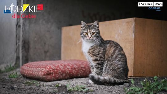 Łódzkie dla Ciebie - podsumowanie tygodnia Łódzkie dla Ciebie - podsumowanie tygodnia