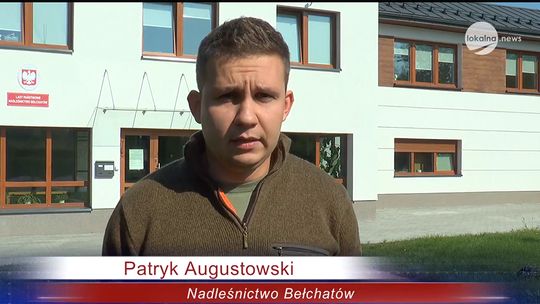 Nadleśnictwa rozdają sadzonki drzew ! 