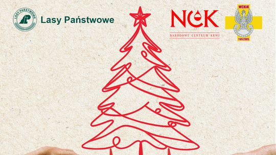 Oddaj krew i odbierz choinkę. Akcja „Choinka dla życia” w Bełchatowie