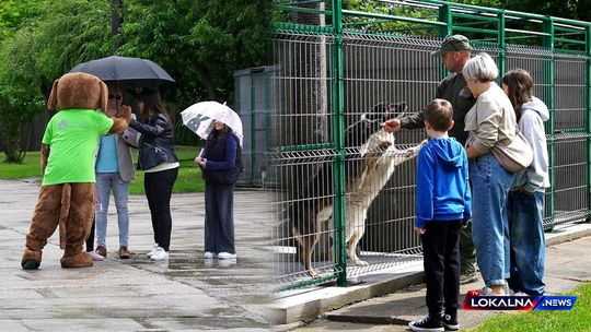 Otwarte serca dla bezdomnych zwierząt. Udana akcja adopcyjna w bełchatowskim schronisku