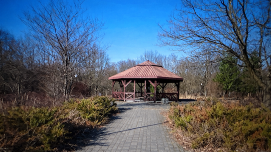 Park Samujłły w Bełchatowie przejdzie metamorfozę. Powstanie m.in. pierwsza strefa grillowa