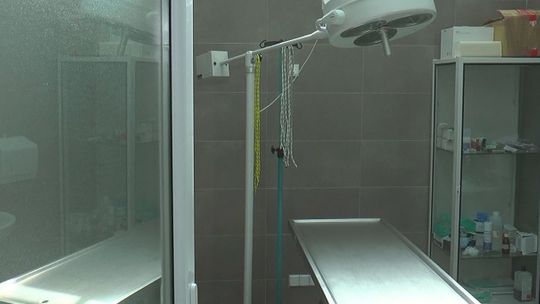 Schronisko z własnym gabinetem weterynaryjnym