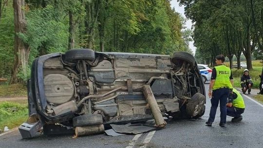 Śmiertelne uderzenie w drzewo. Nie żyje 19-letnia kobieta