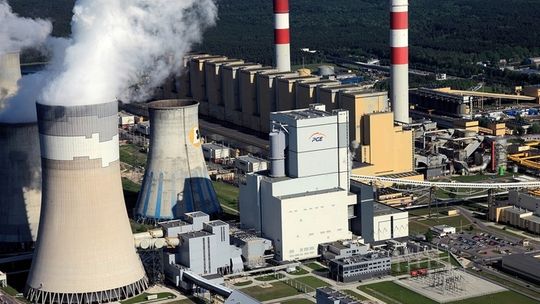 Sokoły rozgosciły się w Elektrowni
