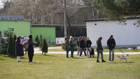 Spacery behawioralne w bełchatowskim schronisku. Uczniowie pomagają psom i uczą się empatii