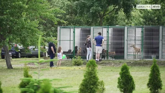 Tak wyglądały Dni Otwarte w bełchatowskim schronisku dla zwierząt bezdomnych