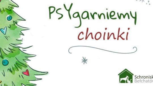 W schronisku PSYgarniają choinki 