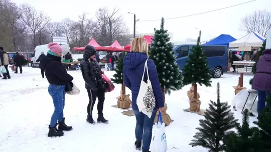 Zakupy świąteczne? Odwiedź Radomszczański Plac Targowy. Tam kupisz wszystko, co potrzebne