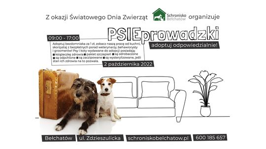Zapraszamy do Schroniska Dla Zwierząt w Bełchatowie na PSIEprowadzki już 2 października 2022!