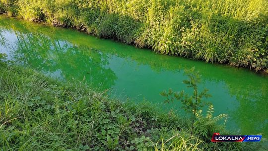 Zielona Rakówka zaniepokoiła mieszkańców Bełchatowa. Jest komunikat PEC