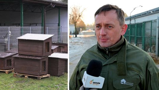 Zimowa codzienność w schronisku. Ciepło jest ważne, ale najważniejszy wciąż jest dom