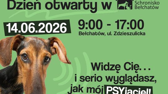 Znajdź przyjaciela na lata. Dzień Otwarty w schronisku