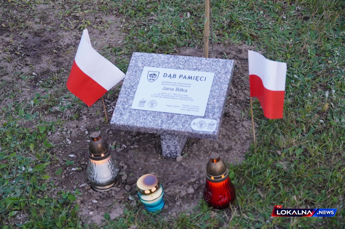 Dąb Pamięci dla aspiranta Jana Biłki. Bełchatów uczcił ofiary sowieckiej agresji Dąb Pamięci dla aspiranta Jana Biłki. Bełchatów uczcił ofiary sowieckiej agresji