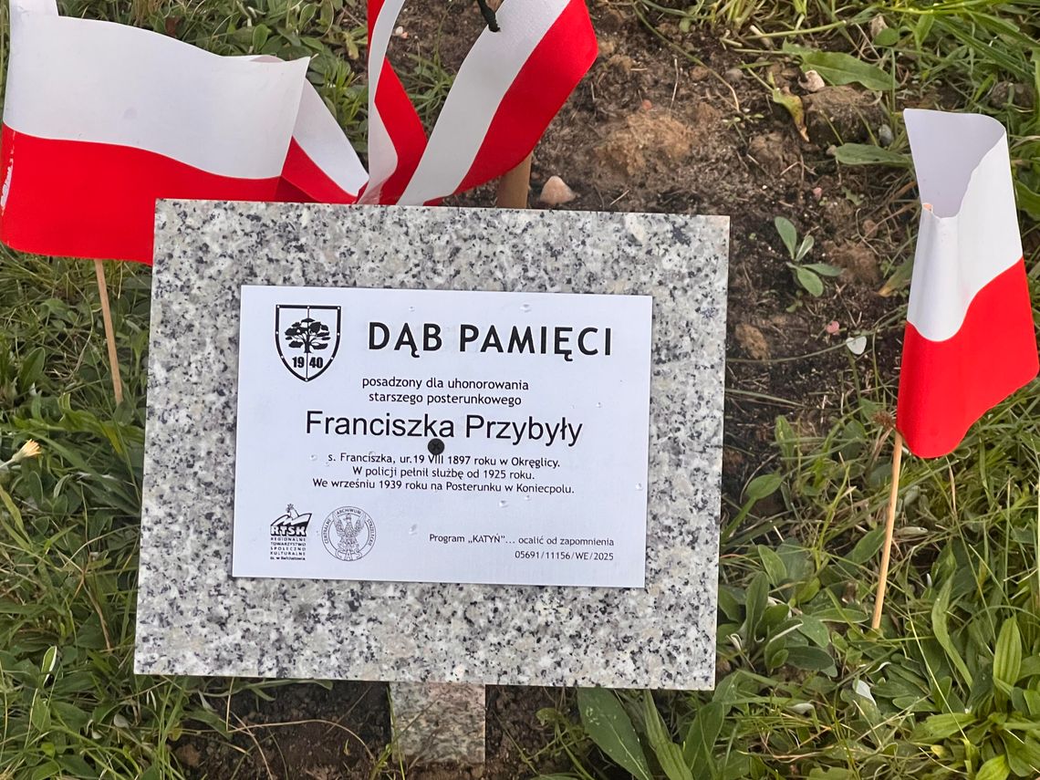 Dąb Pamięci w Bełchatowie. Uhonorowano st. post. Franciszka Przybyłę