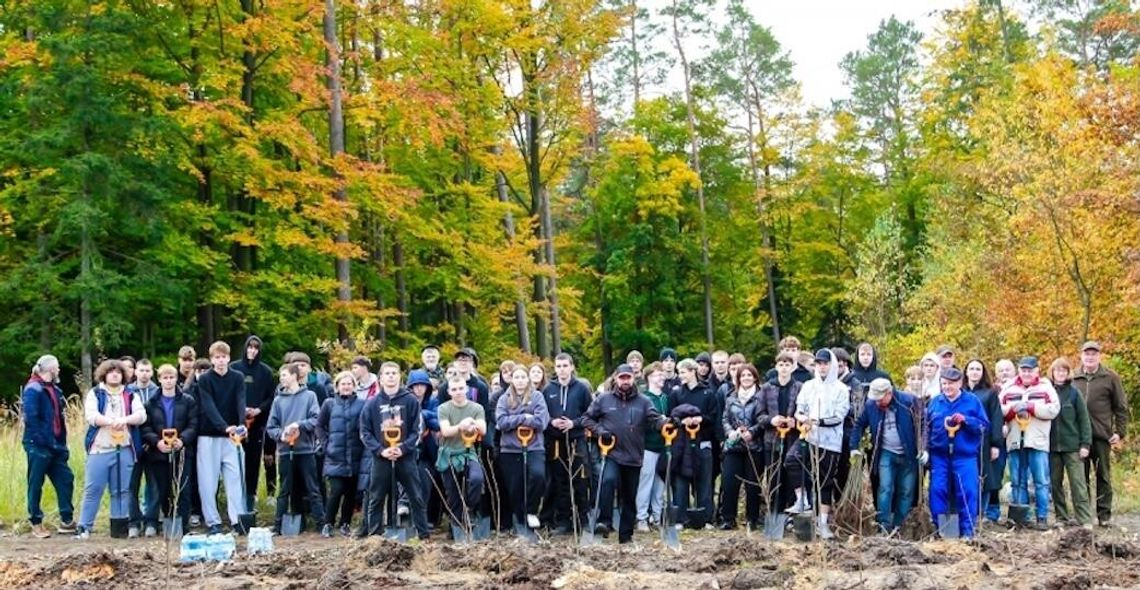 Dla pszczół, dla lasu, dla ludzi. W Szkółce Leśnej Borowiny posadzono dwa tysiące miododajnych drzew Dla pszczół, dla lasu, dla ludzi. W Szkółce Leśnej Borowiny posadzono dwa tysiące miododajnych drzew