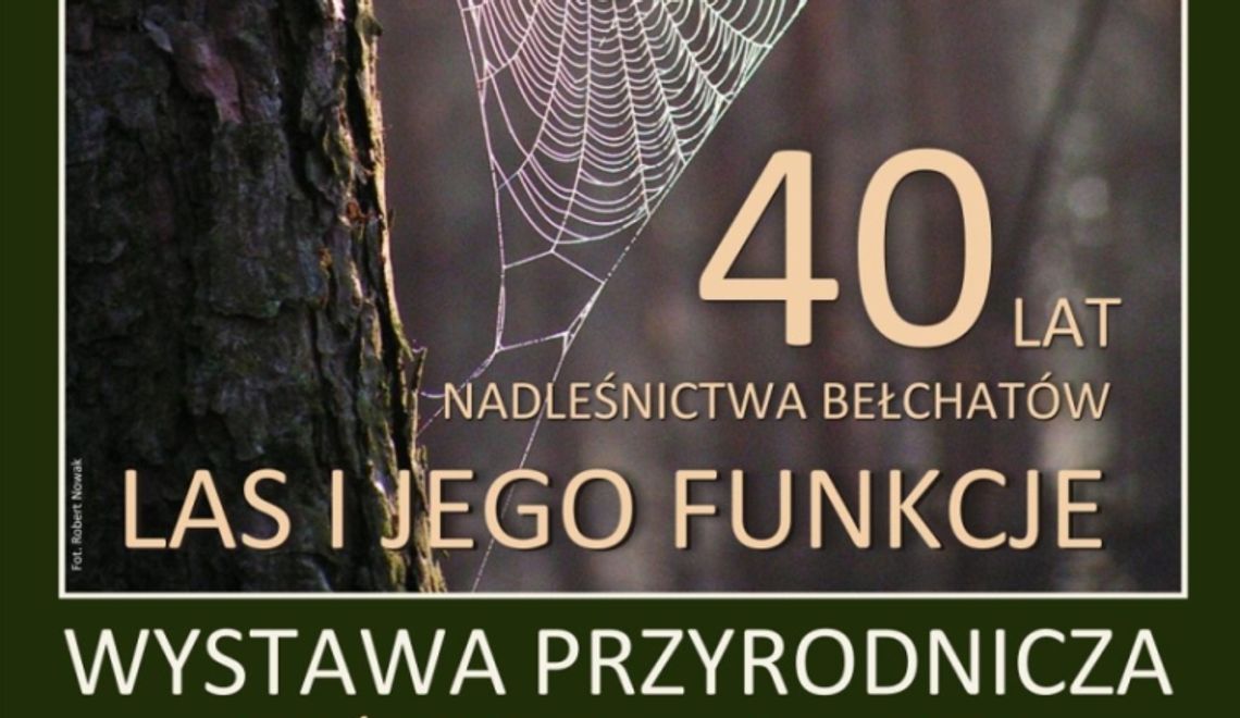 Dlaczego warto być leśniczym?