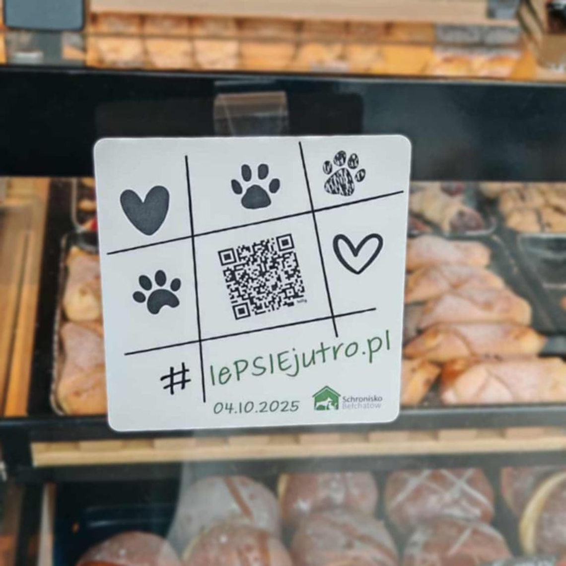 „#lePSIEjutro" – tajemnicza akcja schroniska w Bełchatowie „#lePSIEjutro" – tajemnicza akcja schroniska w Bełchatowie