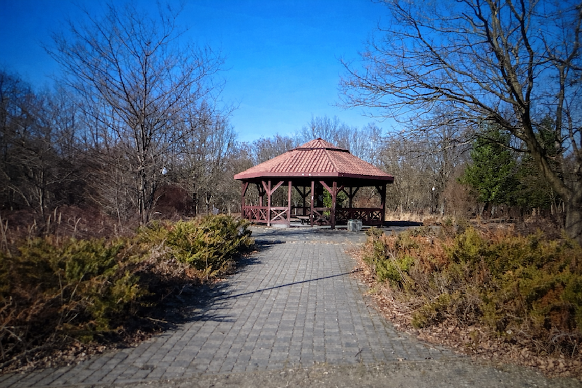 Park Samujłły w Bełchatowie przejdzie metamorfozę. Powstanie m.in. pierwsza strefa grillowa