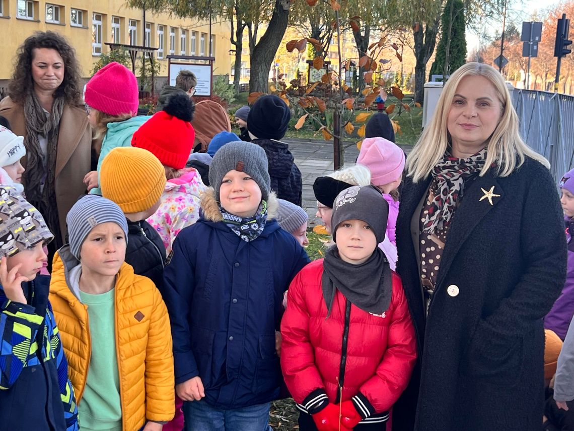 Pierwszoklasiści z SP nr 3 w Bełchatowie posadzili drzewka na 100-lecie odzyskania praw miejskich Pierwszoklasiści z SP nr 3 w Bełchatowie posadzili drzewka na 100-lecie odzyskania praw miejskich