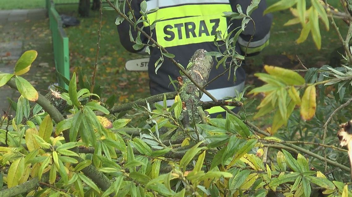 Strażacy w akcji. Wichura dała się we znaki