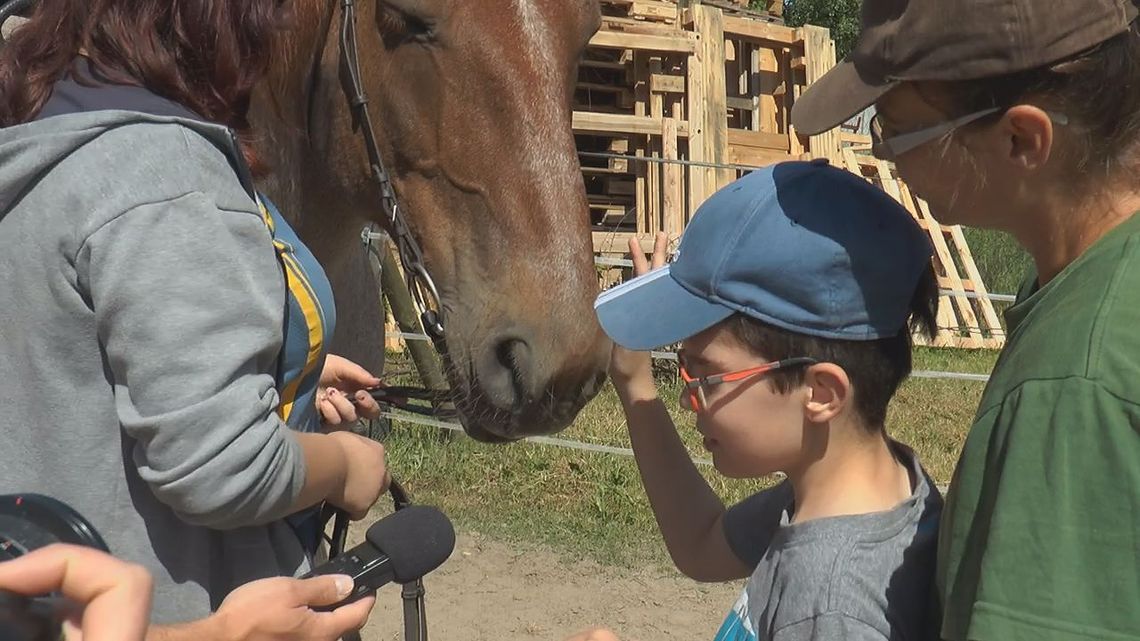 Terapia z pomocą konia