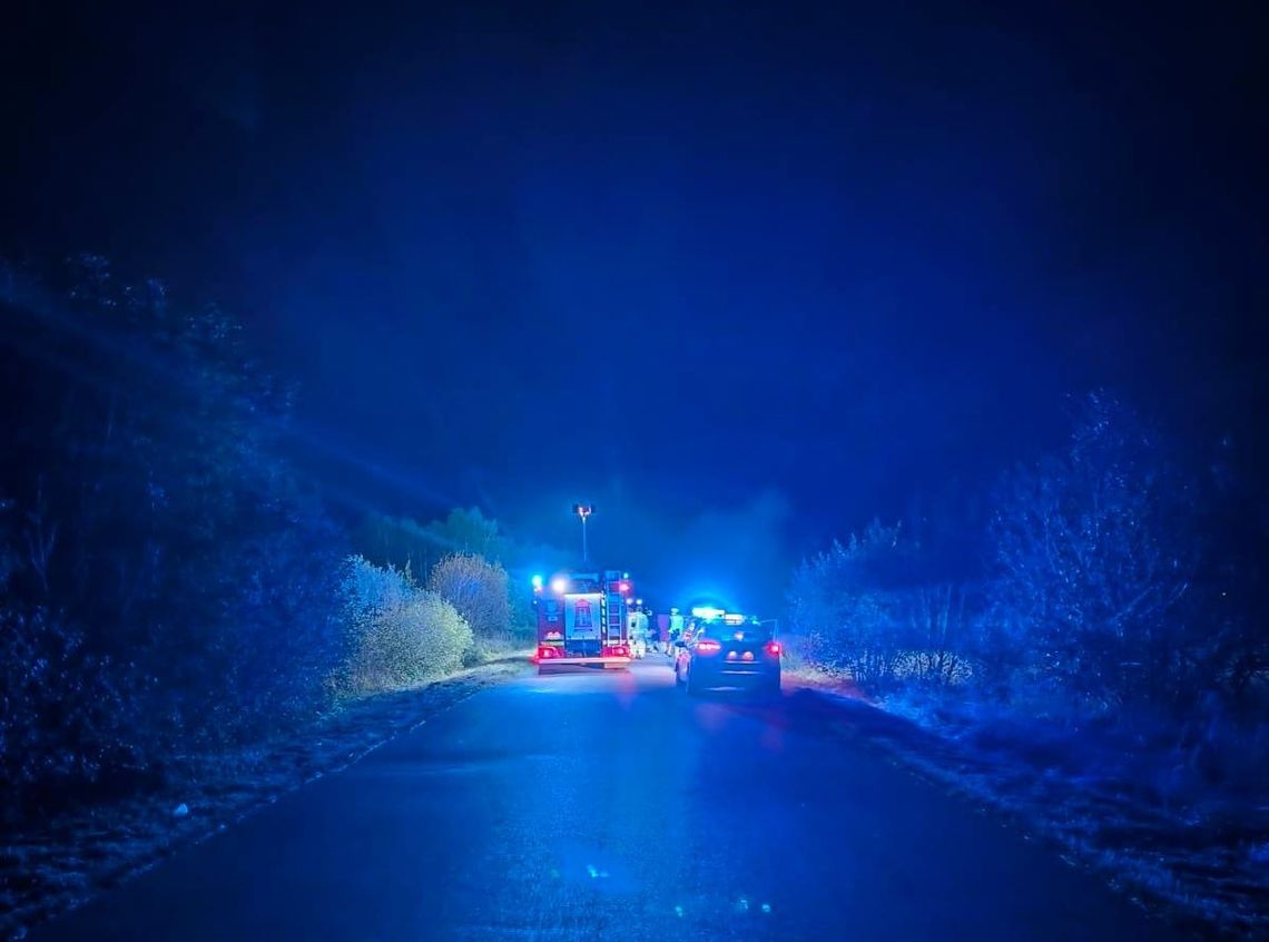 Tragiczny wypadek w Tatarze. Kierowca zginął po zderzeniu z sarną Tragiczny wypadek w Tatarze. Kierowca zginął po zderzeniu z sarną