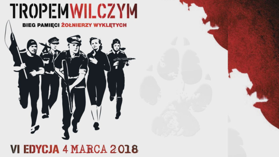 Tropem Wilczym Bieg Pamięci Żołnierzy Wyklętych 