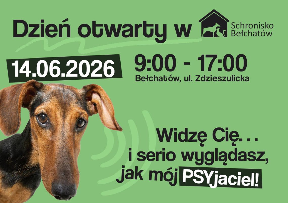 Znajdź przyjaciela na lata. Dzień Otwarty w schronisku